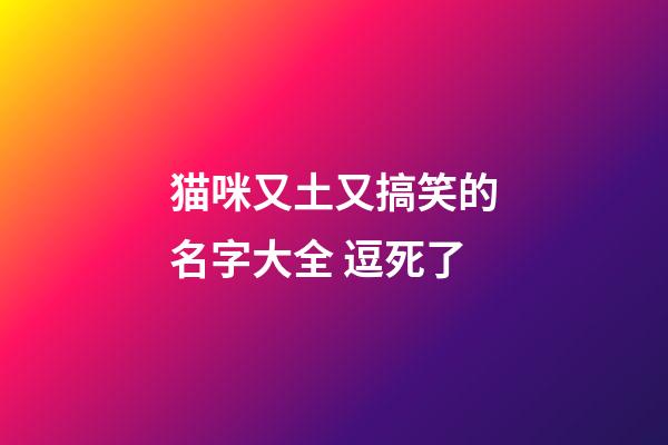 猫咪又土又搞笑的名字大全 逗死了